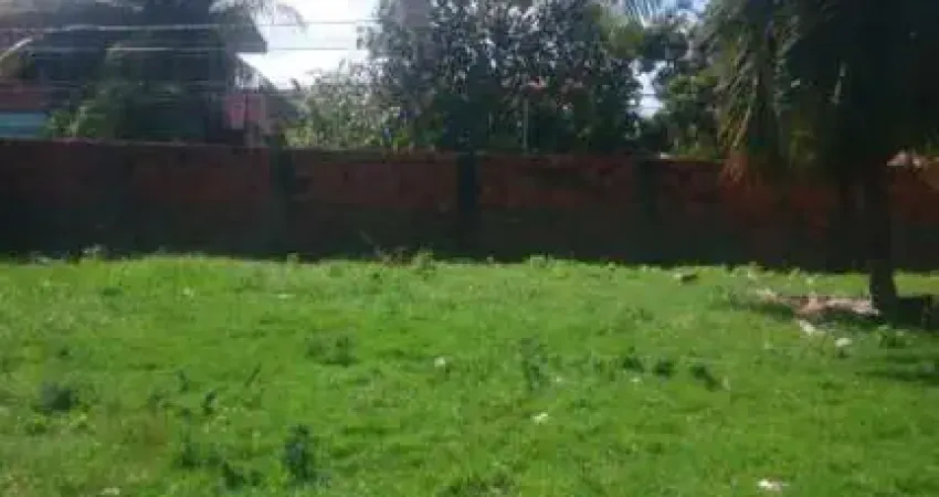 Terreno para venda em camaçari, catu de abrantes (abrantes)