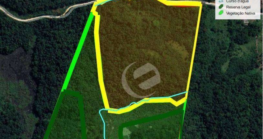 Sítio à venda, 173000 m² por R$ 744.000,00 - Lagoinha - Juquiá/SP