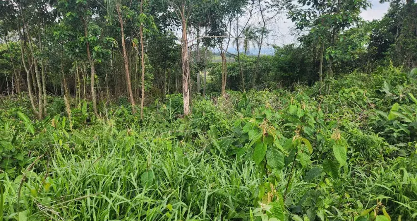 Seu refúgio em meio à natureza espera por você no Sebandinha, Mairinque-SP!