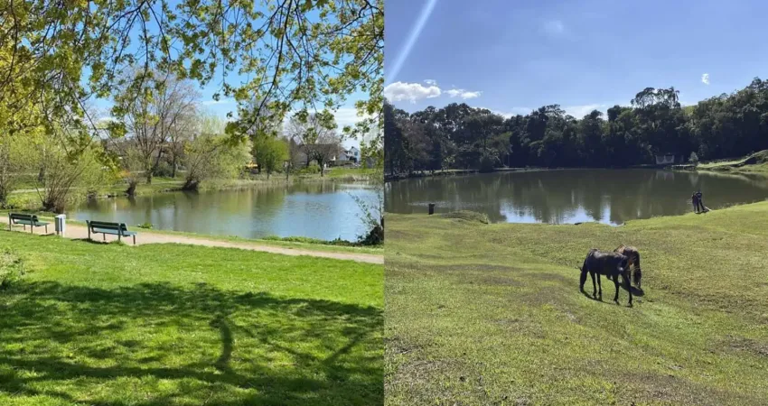 Terreno em condomínio fechado à venda na Rodovia Bujiro Nakao, 70, Verava, Ibiúna