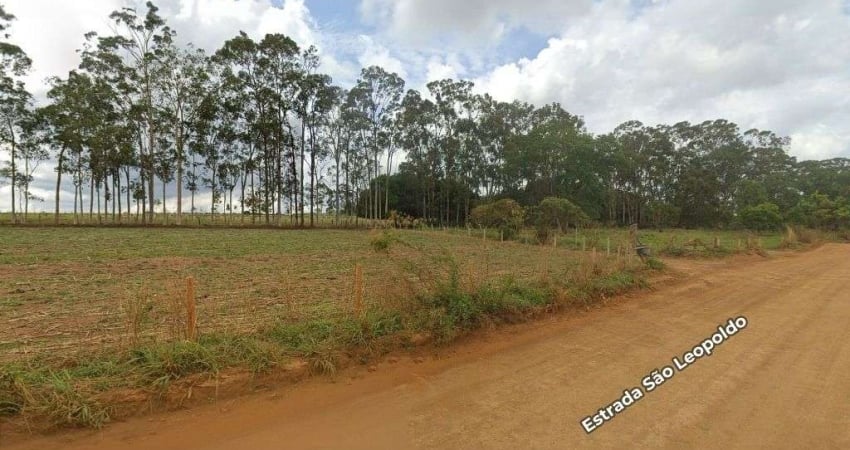 Área à venda, 22215 m² por R$ 1.160.000,00 - Fazenda Grimpas - Hidrolândia/GO
