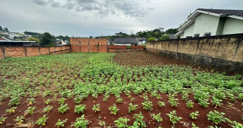 Terreno à venda no São Francisco, Pato Branco 