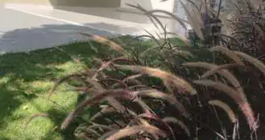 Casa em condomínio fechado com 3 quartos à venda na Condomínio Sunset, 987, Parque Campolim, Sorocaba