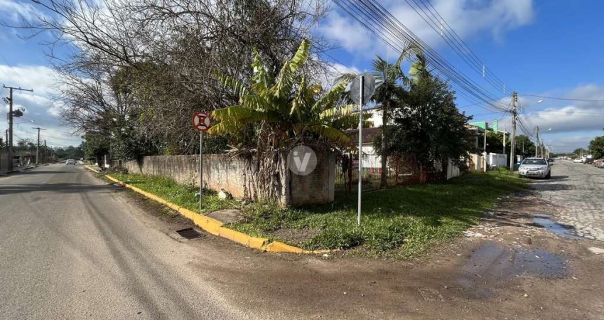 Terreno comercial para alugar na Rua Bem-te-vi, S n, Juscelino Kubitschek, Santa Maria