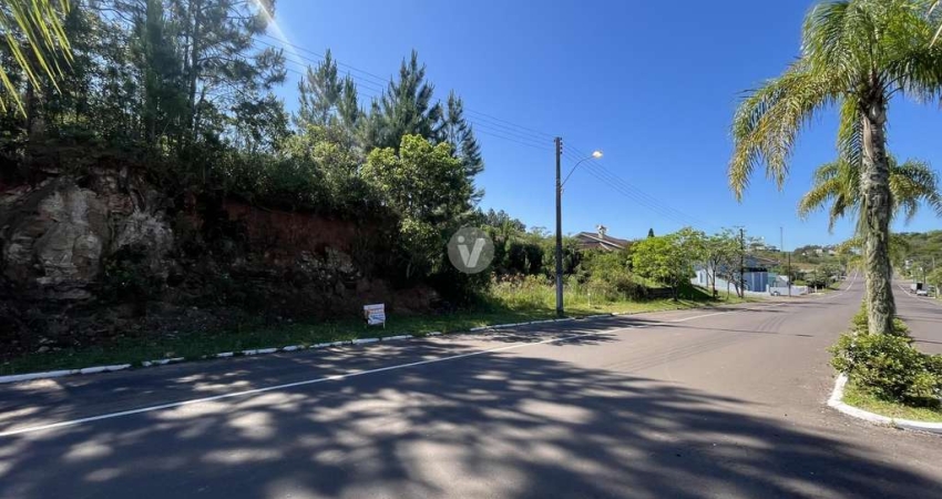 Terreno à venda na Osvaldo Zambonato, n 248 LOTE, Vila Catani, Silveira Martins