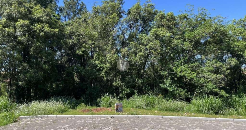 Terreno à venda na Rua Dom Albino Luciani, LOTE 06, Vila Catani, Silveira Martins