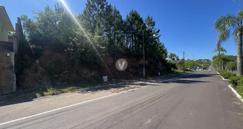 Terreno à venda na Osvaldo Zambonato, n 292 LOTE, Vila Catani, Silveira Martins