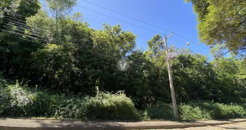 Terreno à venda na Estrada do Perau Enq. Baldur Wenzel Loebler, Lote B2, Parque Serrano, Itaara