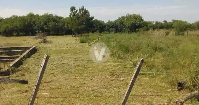 Terreno à venda Diácono João Luiz Pozzobon Santa Maria/RS