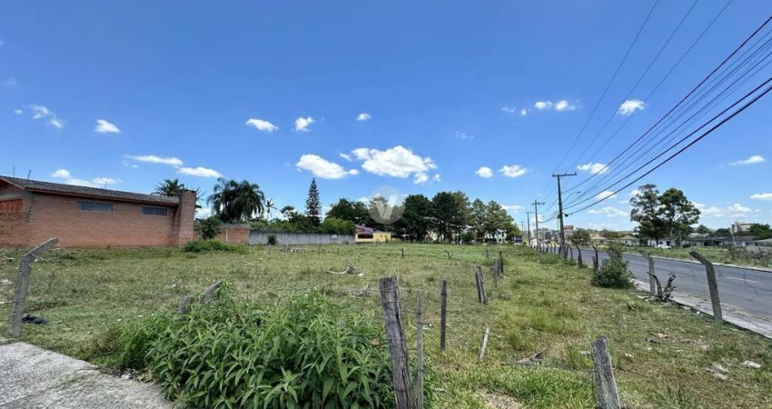 TERRENO DE ESQUINA NO PARQUE PINHEIRO MACHADO - PRONTO PARA CONSTRUIR
