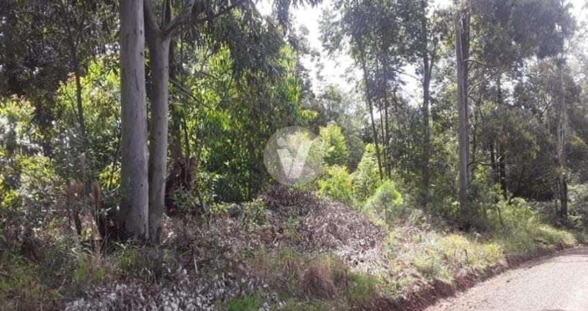 Terreno à venda na Horto dos Eucaliptos, Lote 8 Qua, Parque Serrano, Itaara