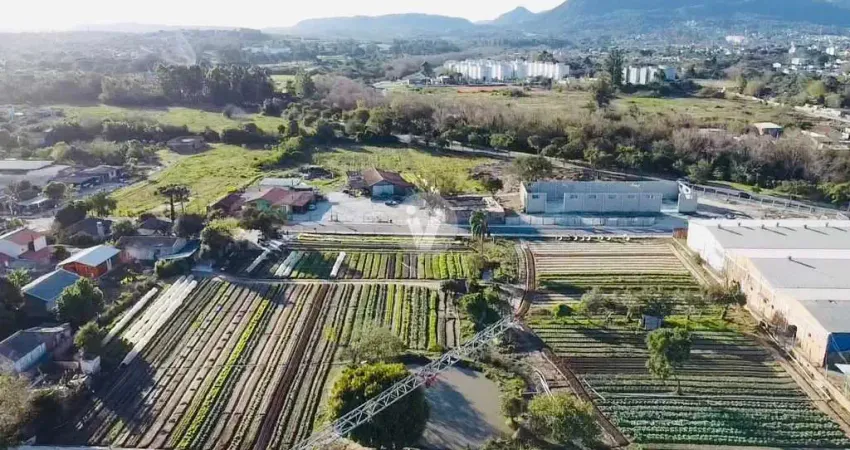 Oportunidade de terreno com ampla metragem no bairro Patronato
