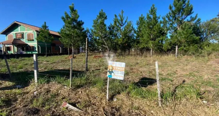 Terreno comercial Beira Faixa Camobi com 3100 metros
