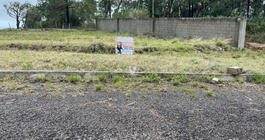 Terreno à venda na Estrada Eduardo Duarte, 00, Tomazetti, Santa Maria