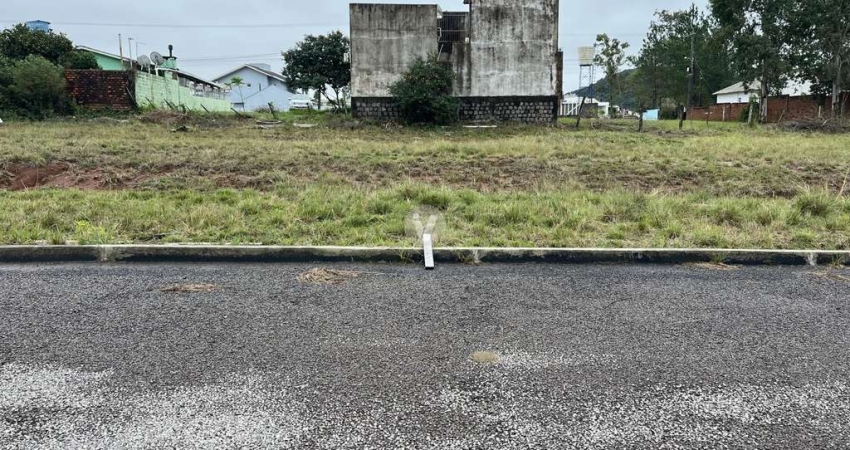 Terreno à venda na Estrada Eduardo Duarte, 00, Tomazetti, Santa Maria