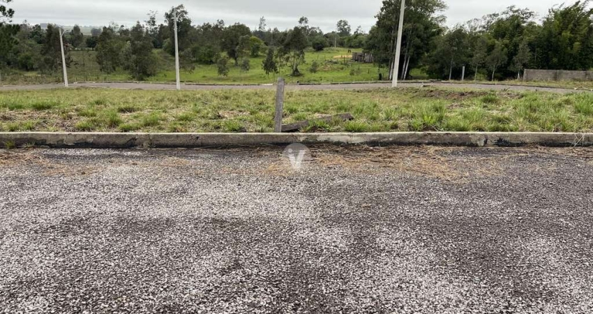 Terreno à venda na Estrada Eduardo Duarte, 00, Tomazetti, Santa Maria
