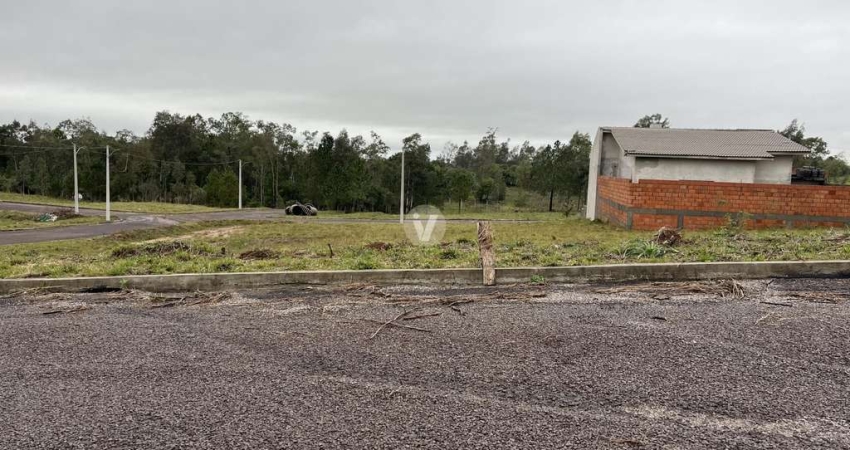 Terreno à venda na Estrada Eduardo Duarte, 00, Tomazetti, Santa Maria