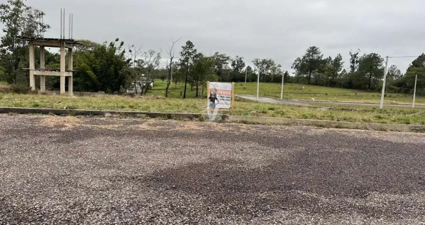 Terreno à venda na Estrada Eduardo Duarte, 00, Tomazetti, Santa Maria