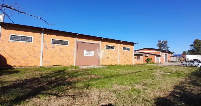 Pavilhão com 496,60m² na faixa nova de Camobi, RST 287, em local estratégico!