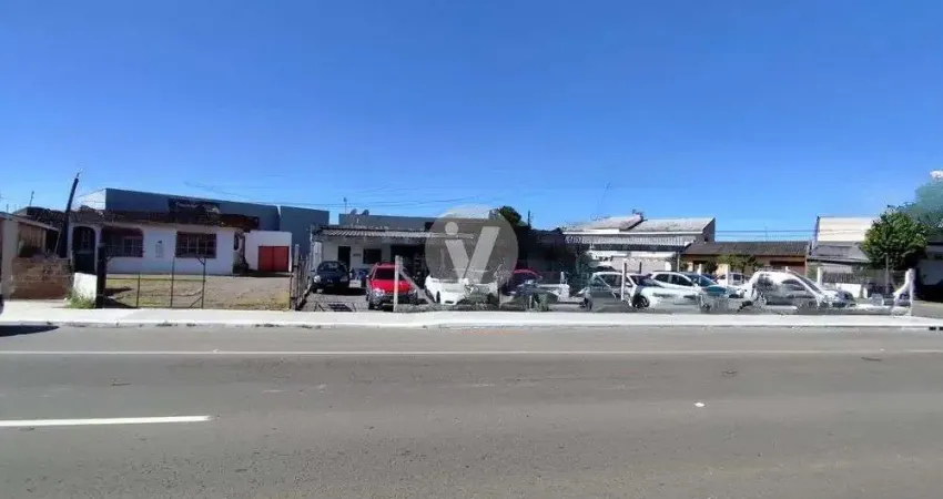 Terreno de esquina, amplo à venda, localizado as margens da br 287!