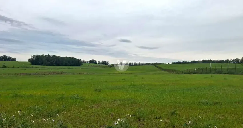 Área rural à venda, com 10 hectares, excelente localização na beira da br 287!