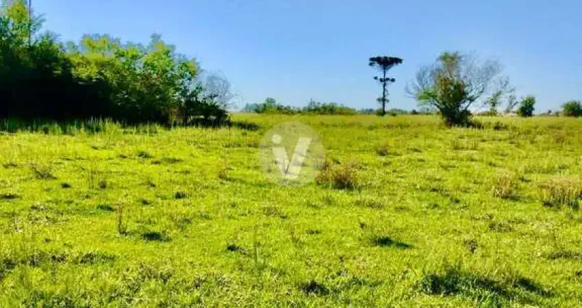 Área de campo à venda, com 2,3 ótima localização no distrito de pains.