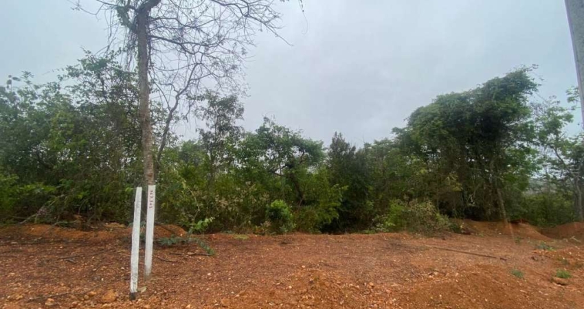 Terreno à venda, 360 m² por R$ 169.900,00 - Parque das Borboletas - Lagoa Santa/MG