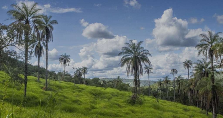 Terreno à venda, 31045 m² por R$ 500.000,00 - Terras Verdes - Lagoa Santa/MG