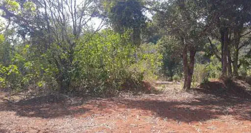 Terreno à venda, 6000 m² por R$ 3.900.000,00 - Vila Maria - Lagoa Santa/MG