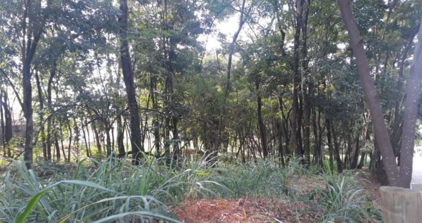Terreno à venda, 2500 m² por R$ 1.280.000,00 - Condomínio Condados da Lagoa - Lagoa Santa/MG