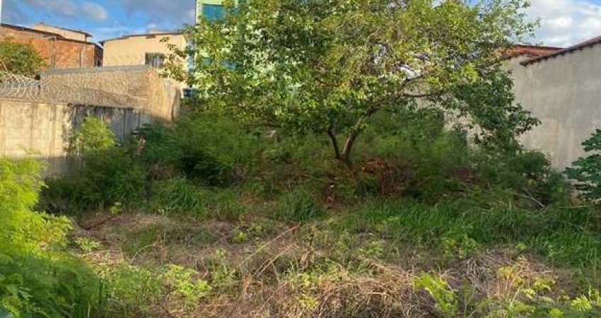 Terreno à venda na Vila Pinto Coelho, Lagoa Santa 