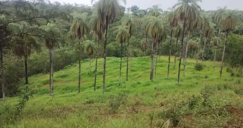 Área à venda, 110000 m² por R$ 403.000,00 - Zona Rural - Jaboticatubas/MG
