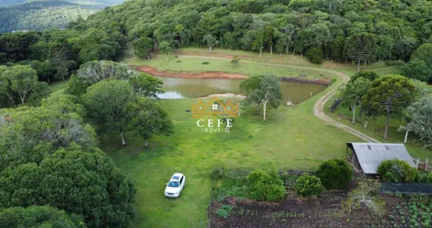 Sítio em gramado: encante-se com essa propriedade na zona rural!