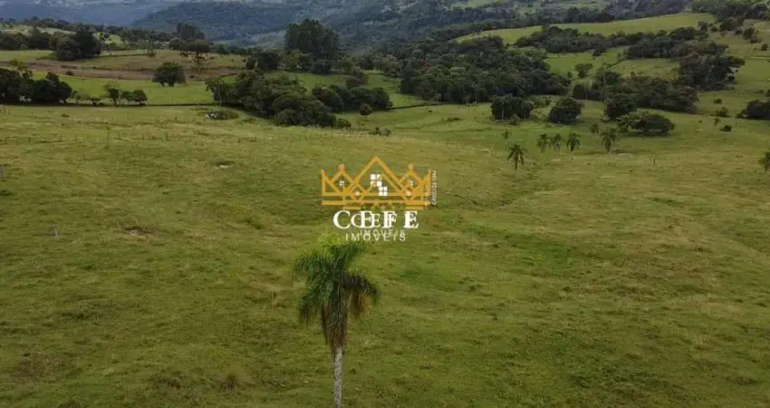 Chácara / sítio à venda na Zona Rural, Igrejinha