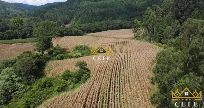 Área de 15.9 hectares em santa maria do herval - rs - serra gaúcha