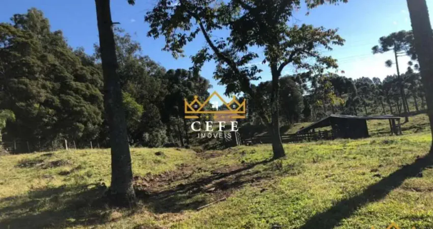 Chácara / sítio à venda na Serra Grande, Três Coroas