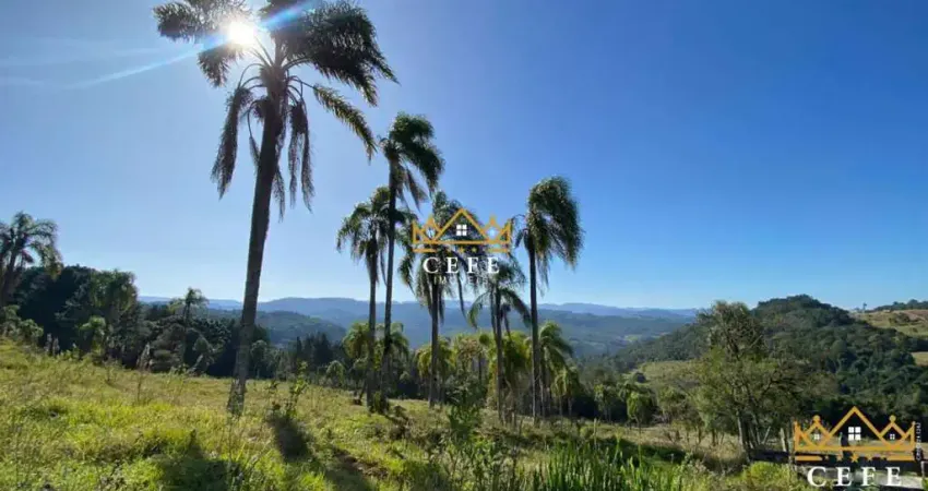Chácara / sítio à venda na Zona Rural, Três Coroas