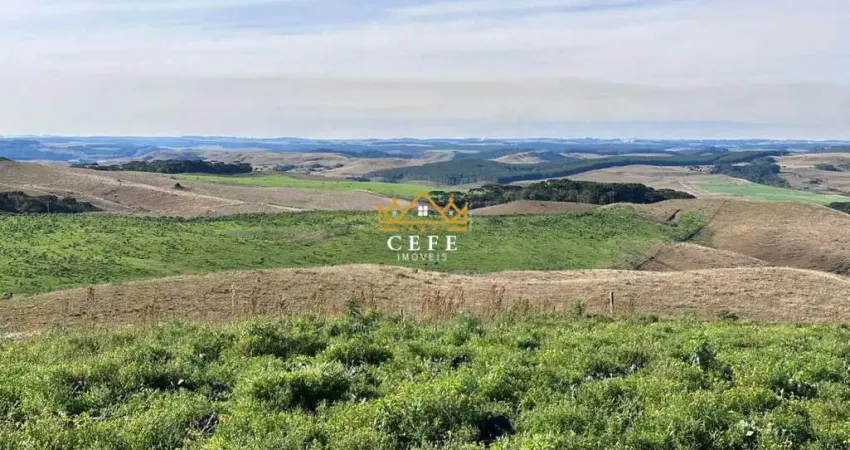 Chácara / sítio à venda na Zona Rural, São Francisco de Paula 