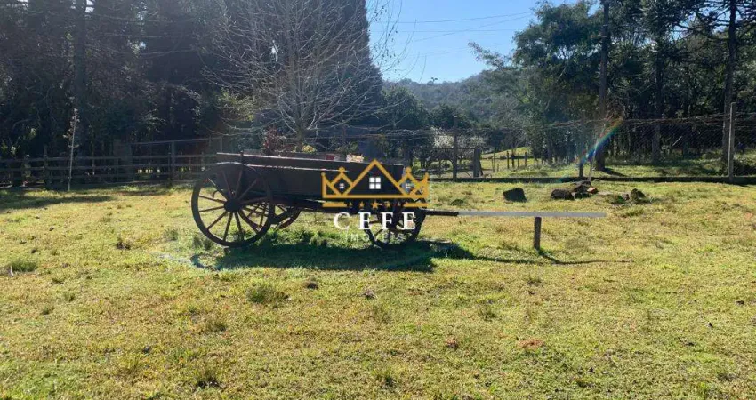 Sítio em gramado: encante-se com essa propriedade na linha tapera!