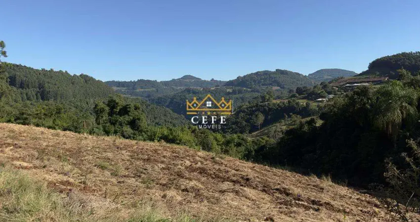 Belíssima chácara entre gramado e santa maria do herval - linha marcondes