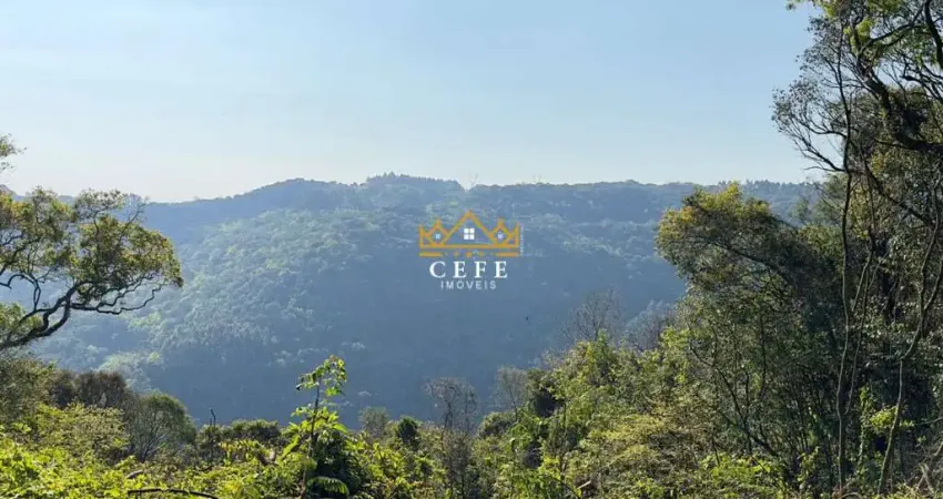 Chácara / sítio à venda em Treze Colonias, Nova Petrópolis