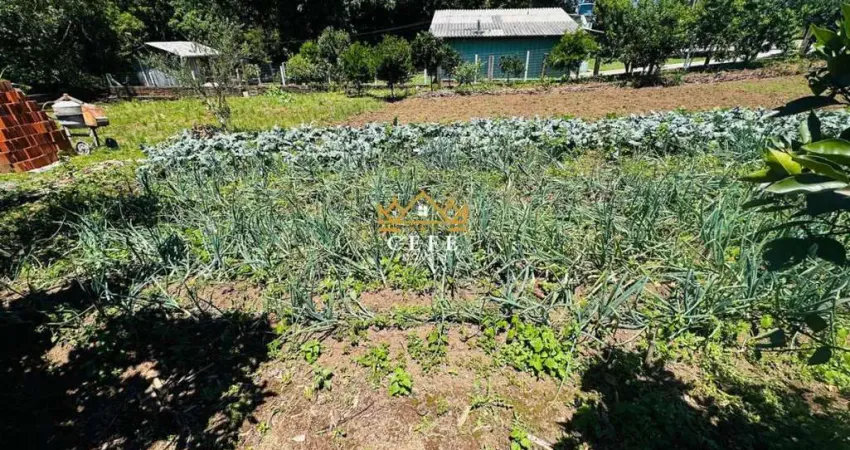 Chácara / sítio com 2 quartos à venda no Padre Eterno Ilges, Santa Maria do Herval