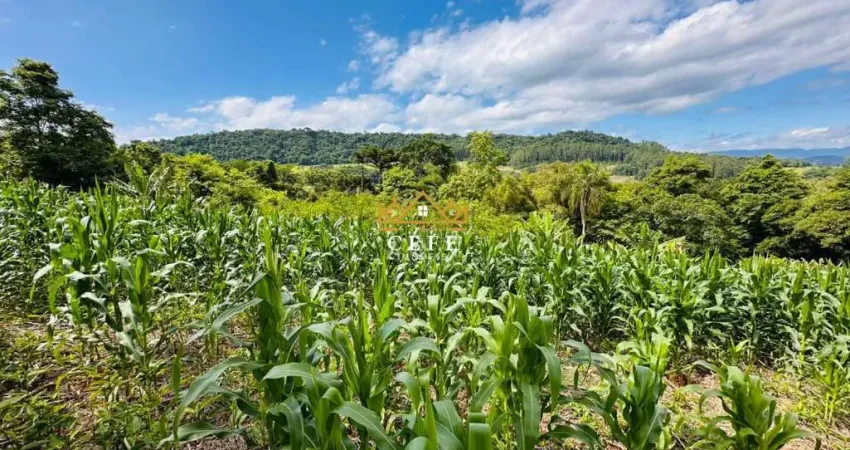 Sítio para venda em três coroas - serra grande, oportunidade única!