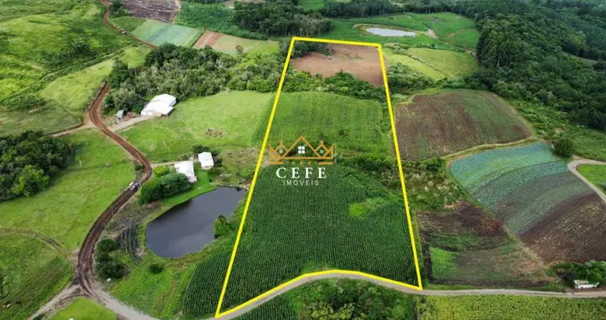 Área de terra de 3 hectares 100% aproveitável - santa maria do herval