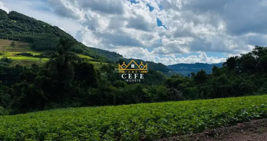 Chácara - sítio para venda  no bairro linha marcondes em santa maria do herval