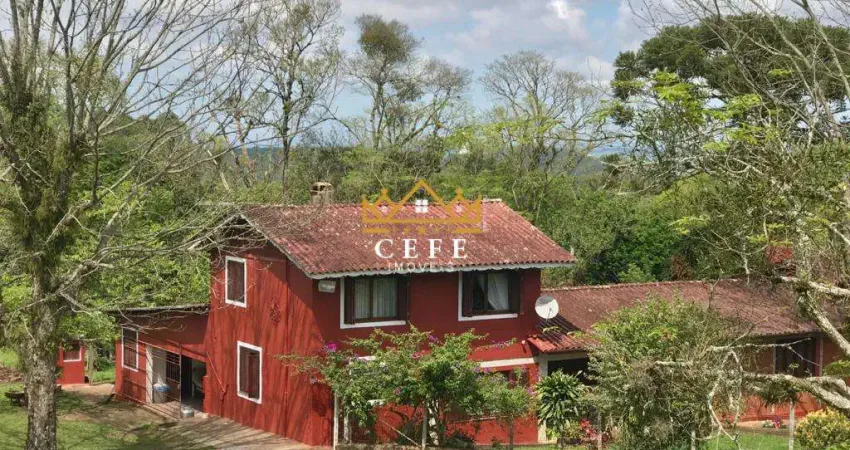 Sítio à venda em dois irmãos, zona rural - oportunidade única!