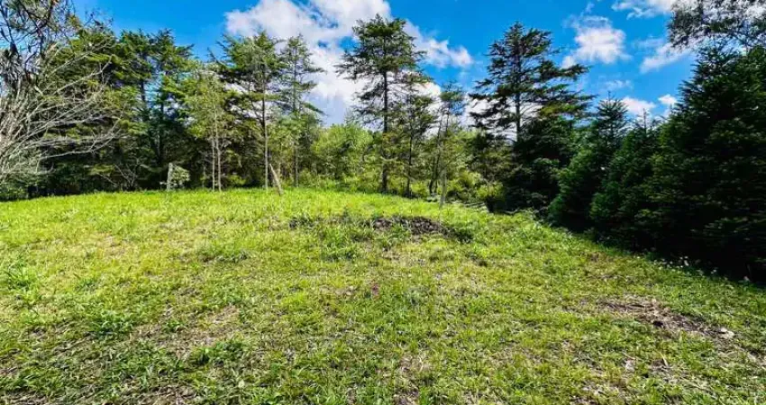 Sítio / Chácara para Venda no bairro Padre Eterno Ilges em Santa Maria do Herval, 4337 m² privativos,