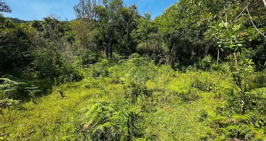 Sítio / Chácara para Venda no bairro Alto Padre Eterno em Santa Maria do Herval, 29000 m² privativos,