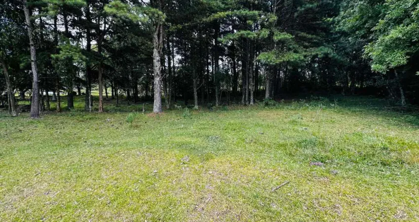 Sítio / Chácara para Venda no bairro Alto Padre Eterno em Santa Maria do Herval, 5000 m² privativos,