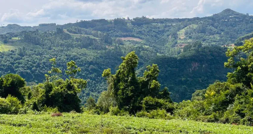 Sítio / Chácara para Venda no bairro Boa Vista do Herval em Santa Maria do Herval, 40000 m² privativos,